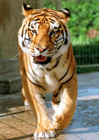 Princeton Class
                of 1979 Donors